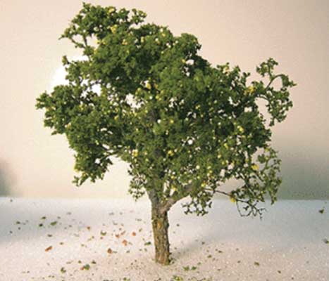 Grand Central Gems Grapefruit Tree -- 3 to 5" 7.6 to 12.7cm pkg(3) - 295-T24