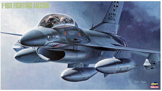 Hasegawa 1:48 F-16D Fighting Falcon Plastic Model Kit