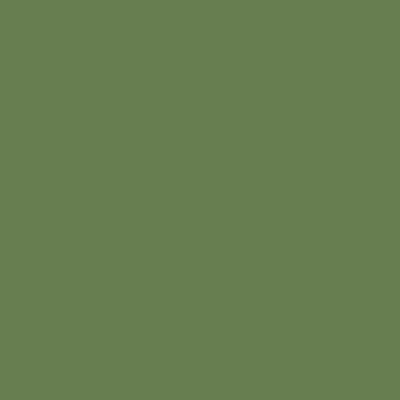 Mission Models US Interior Green FS 34151 1oz Acrylic Paint - MIOMMP059