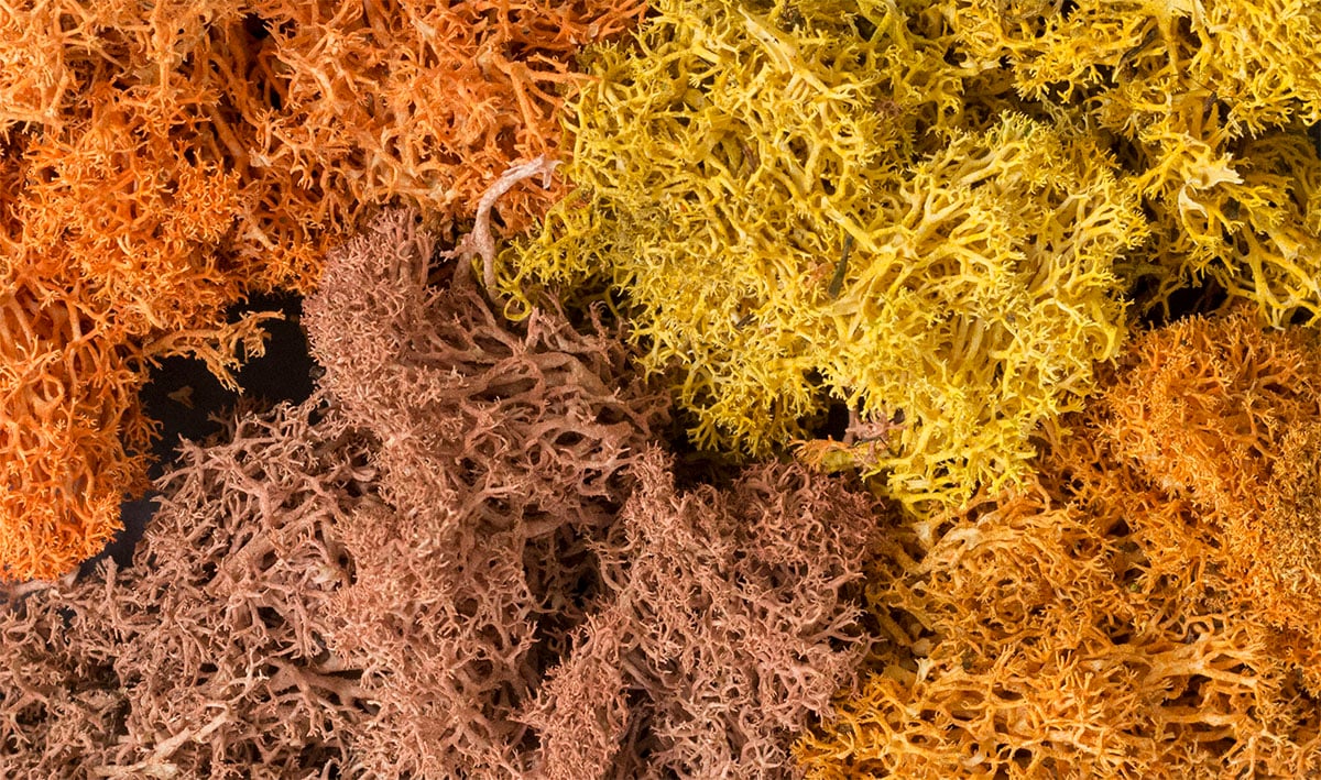 Woodland Scenics Lichen Bag, Autumn Mix/82 cu. in. - WOOL165