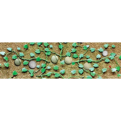 JTT Miniature Tree Cantaloupe Patch -- pkg(6) - JTT95573