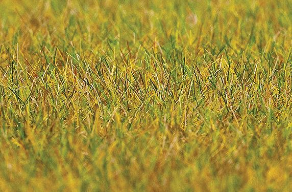 Faller GROUND COVER FIBERS MDW - 272-180484
