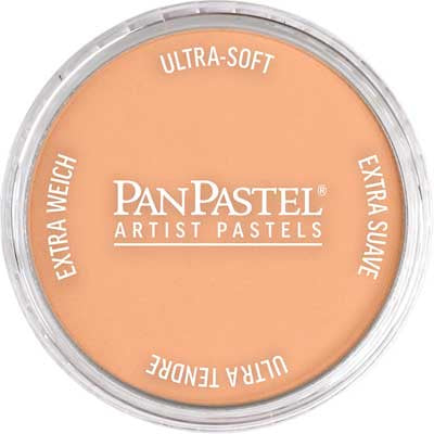 Panpastel Color Powder -- Burnt Sienna Light