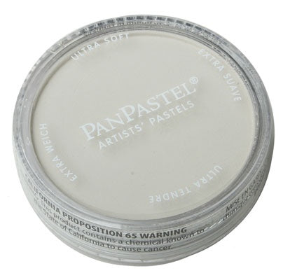 Panpastel Color Powder -- Raw Umber Tint - 574-27808