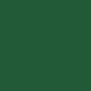 Mission Models MIOMMP004 GREEN - MIOMMP004