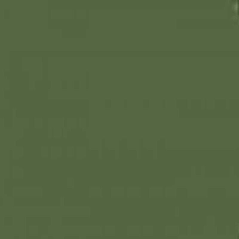 Mission Models Russian Dark Olive 2 FS 34096 - MIOMMP029