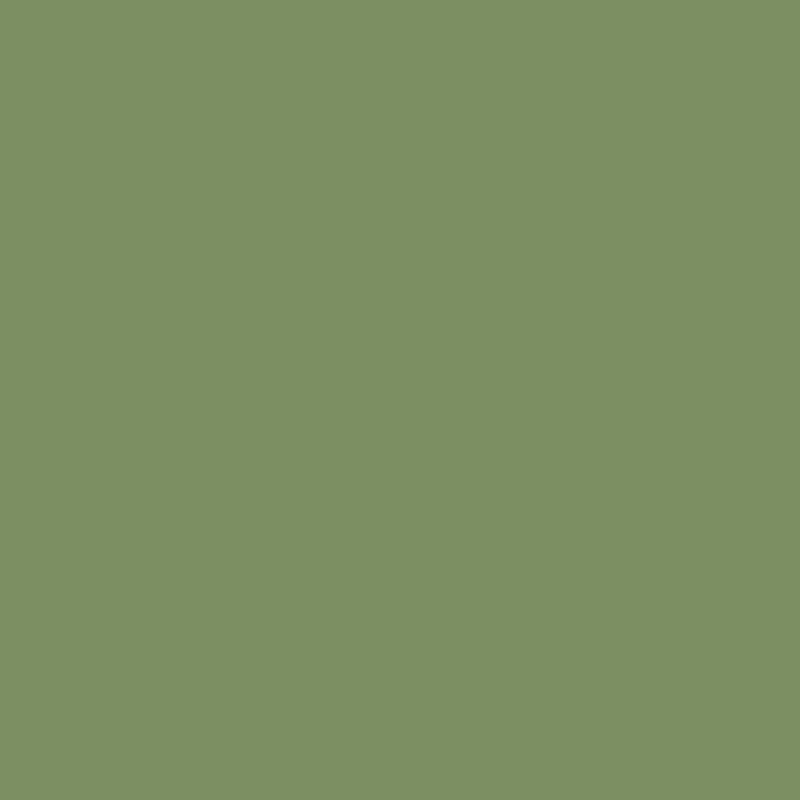 Mission Models Raf Interior Green - MIOMMP079