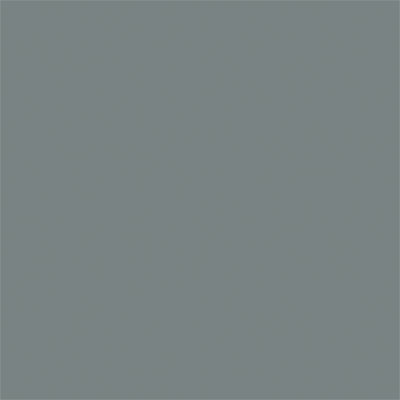 Testors MM Car Spray Trans Black Tint - TES2949