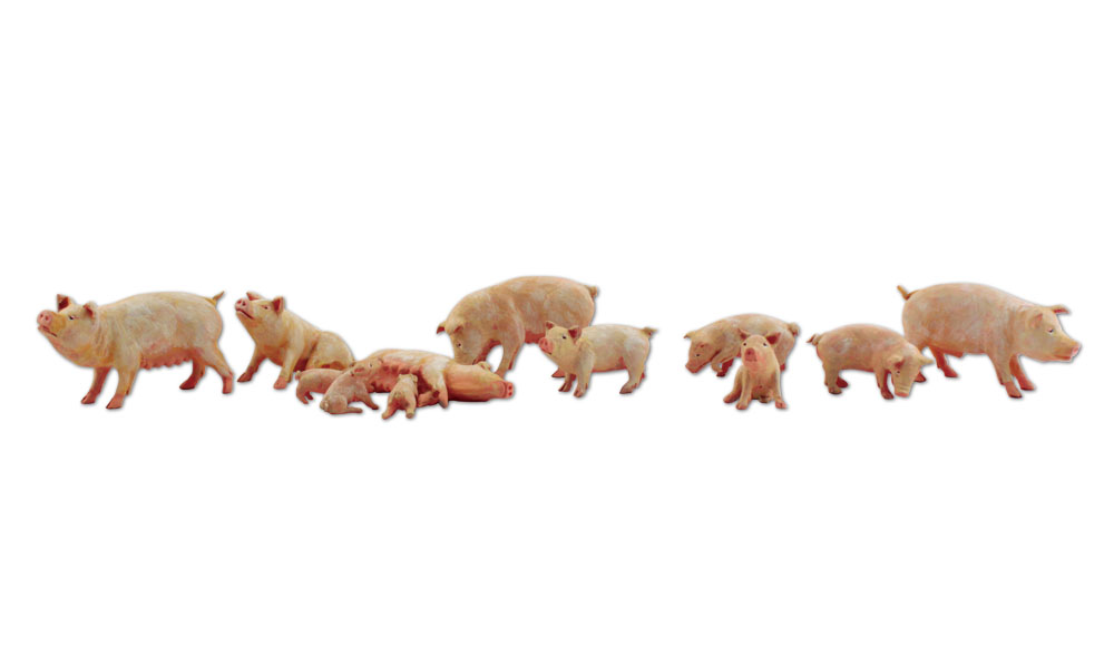 Woodland Scenics WOOA2218 Yorkshire Pigs - Scenic Accents(R) -- pkg(12) - WOOA2218