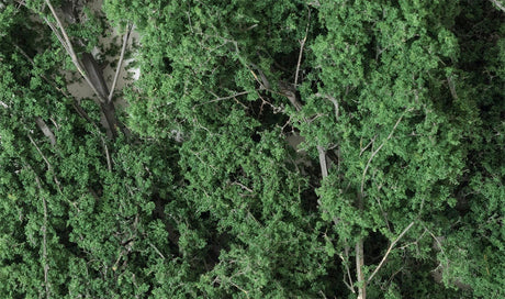 Woodland Scenics Fine Leaf Foliage, Dark Green/75 cu. in. - WOOF1130