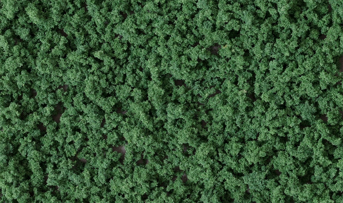 Woodland Scenics Underbrush Shaker, Dark Green/50 cu. in. - WOOFC1637