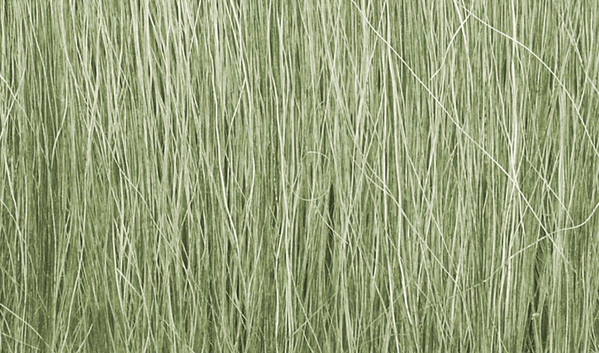 Woodland Scenics Field Grass, Light Green/8g - WOOFG173