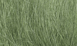 Woodland Scenics Field Grass, Medium Green/8g - WOOFG174