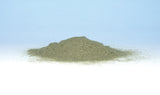 Woodland Scenics Static Grass Flock Shaker, Light Green/50 cu. in. - WOOFL634
