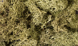 Woodland Scenics Lichen Bag, Spring Green/82 cu. in. - WOOL161