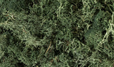 Woodland Scenics Lichen Bag, Dark Green/82 cu. in. - WOOL164