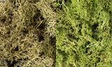 Woodland Scenics Lichen Bag, Light Green Mix/165 cu. in. - WOOL167