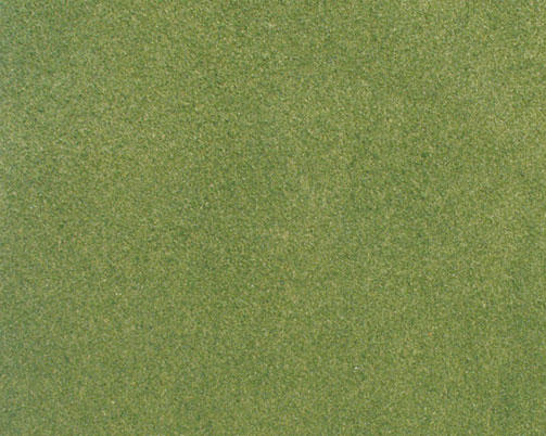 Woodland Scenics 14.25" x 12.5" Grass Sheet, Spring - WOORG5141