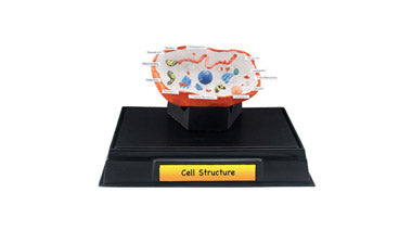 Woodland Scenics, Scene-a-Rama Cell Structure Classroom Pack - WOOSP4253