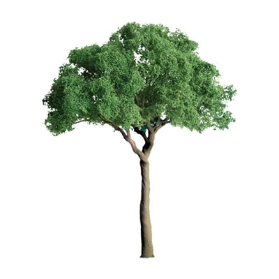JTT Miniature Tree GREEN JACARANDA 1" - JTT94284