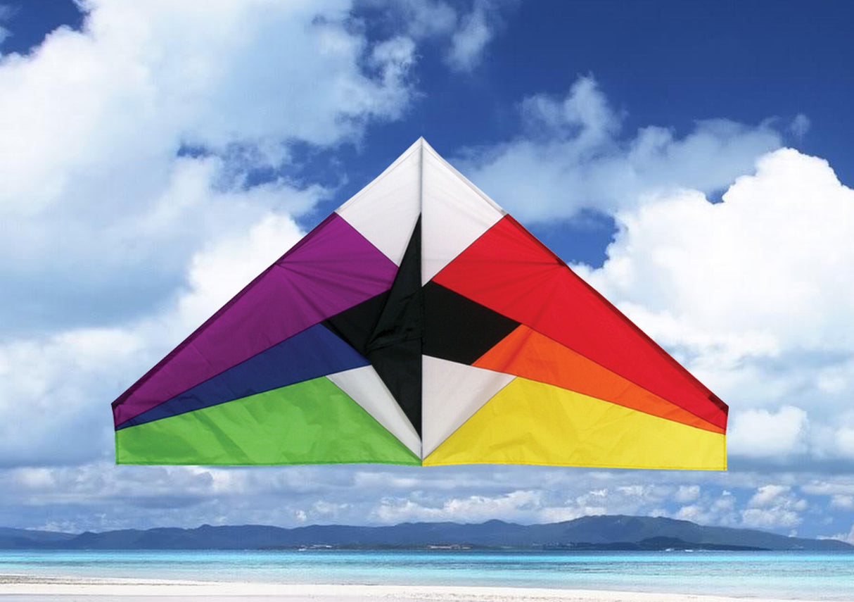 Skydog Kites Rainbow Delta Kite, 55"