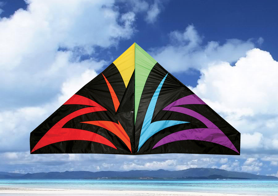 Skydog Kites Black Lightning Delta Kite, 55 - SKK11155