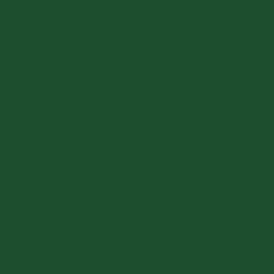 Tru-Color Paint Railroad Color Acrylic Paints - 1oz 29.6mL -- Railway Express Agency Green - TUP78