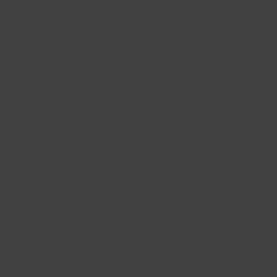 Tru-Color Paint Railroad Color Acrylic Paints - 1oz 29.6mL -- Graphite - TUP8