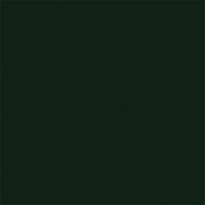 Tru-Color Paint Flat Brushable Color Acrylic Paints - 1oz 29.6mL -- Dark Green - TUP809