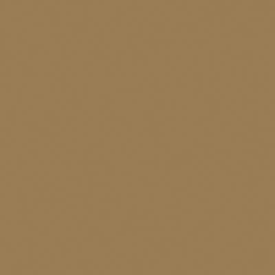 Tru-Color Paint Flat Brushable Color Acrylic Paints - 1oz 29.6mL -- Dark Tan - TUP819