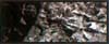 Woodland Scenics Earth Colors Liquid Pigment(TM) - 4oz 118mL Bottle -- Slate Gray - WOOC1219