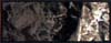 Woodland Scenics Earth Color, Raw Umber/4oz - WOOC1221