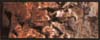 Woodland Scenics Earth Color, Burnt Umber/4oz - WOOC1222