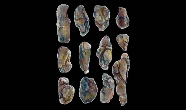 Woodland Scenics Rock Mold, Creek Bed Rocks - WOOC1246