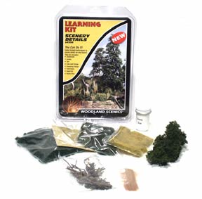 Woodland Scenics Scenery Details Learning Kit - WOOLK956